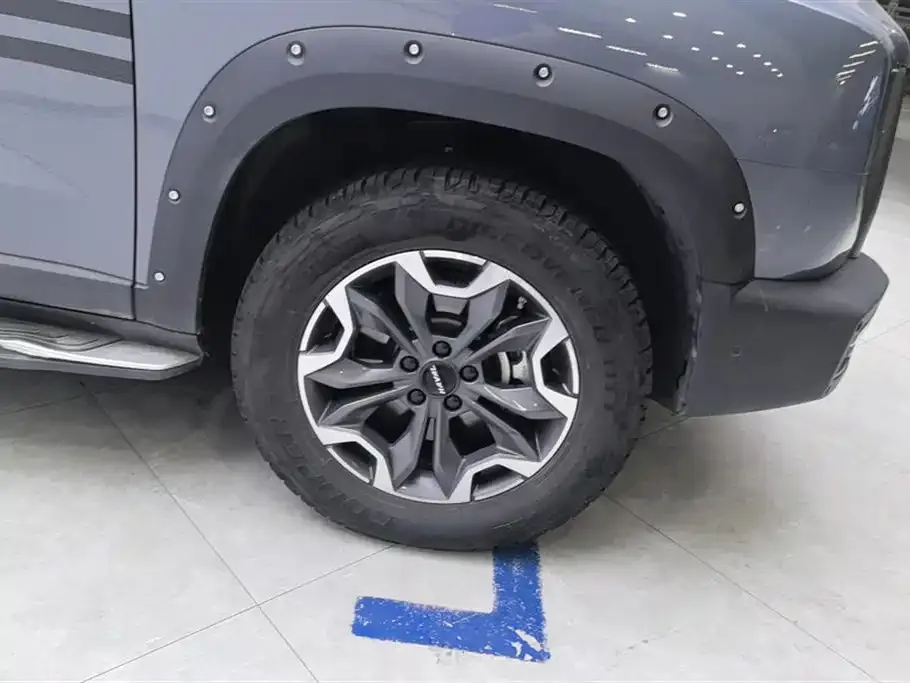 Haval Big Dog 2023 из CN, фото 8