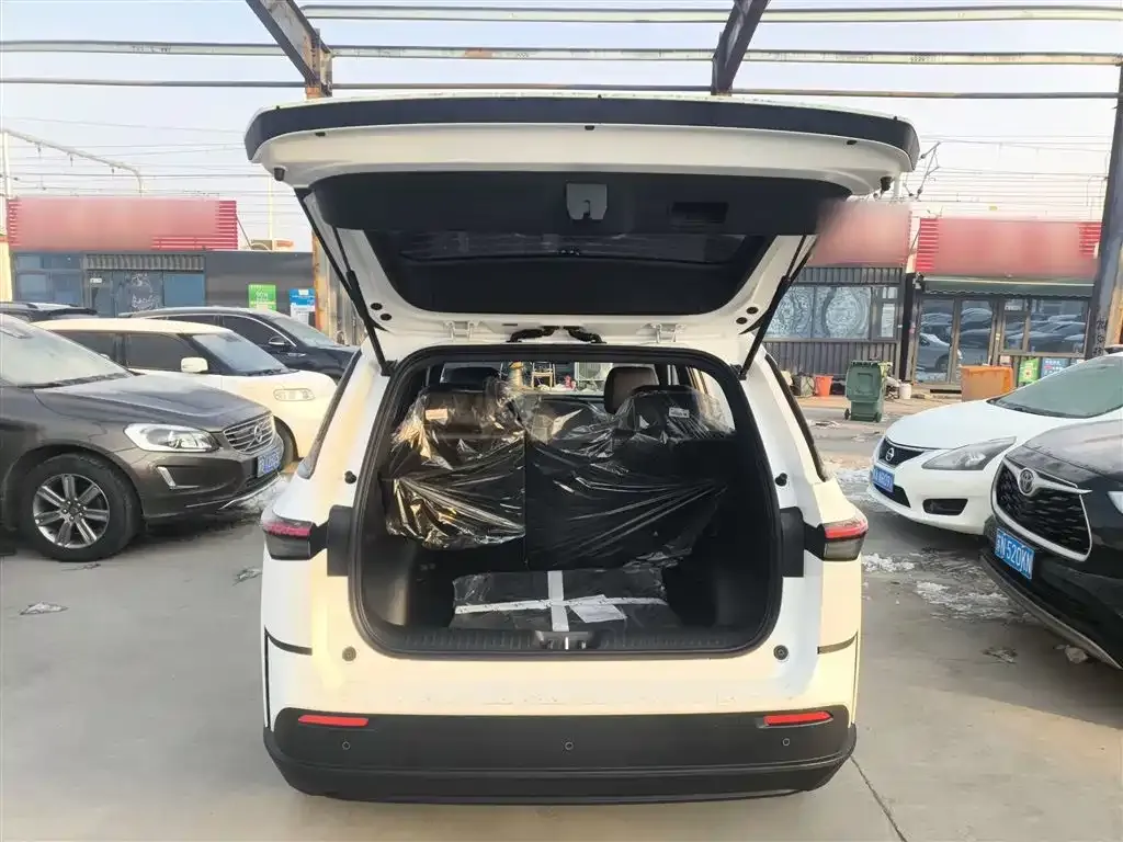 Toyota Platinum 3X 2025 из CN, фото 10