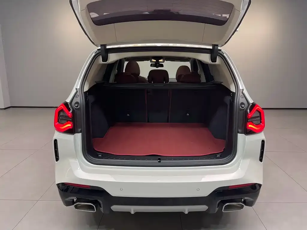 BMW X3 2024 из CN, фото 6