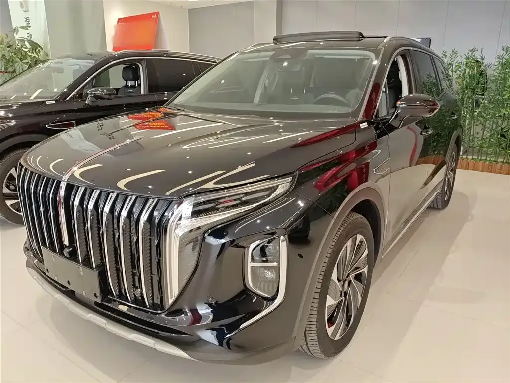 Hongqi HS7 PHEV 2024 из CN, фото 3