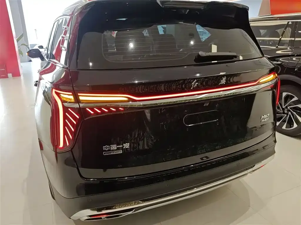 Hongqi HS7 PHEV 2024 из CN, фото 8