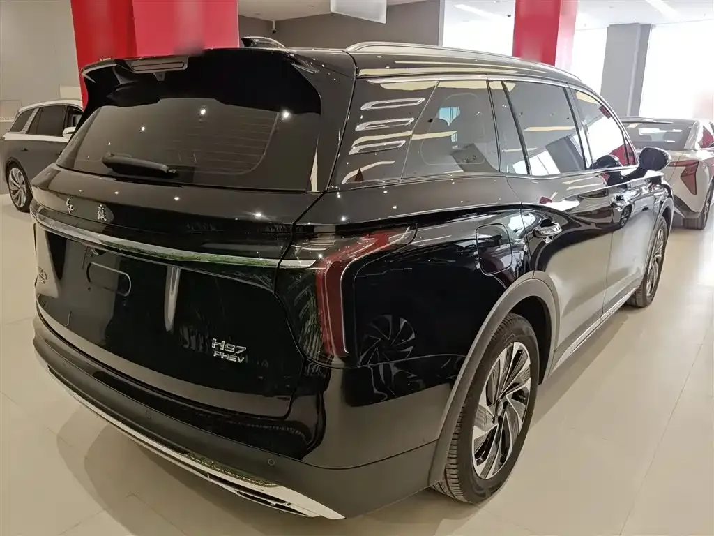 Hongqi HS7 PHEV 2024 из CN, фото 2