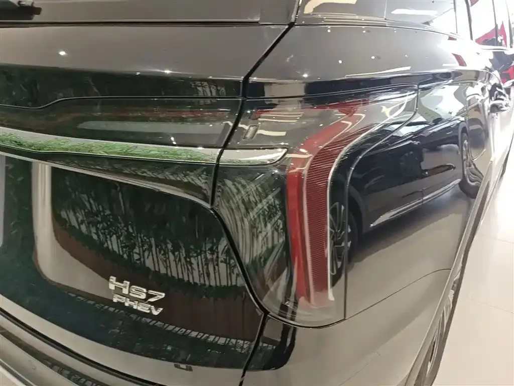 Hongqi HS7 PHEV 2024 из CN, фото 10