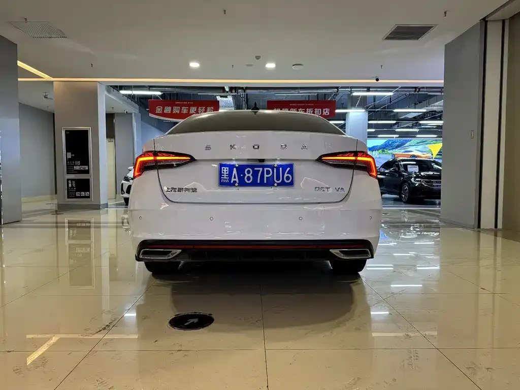 Skoda Octavia 2022 из CN, фото 6