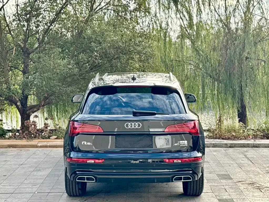 Audi Q5L 2024 из CN, фото 9