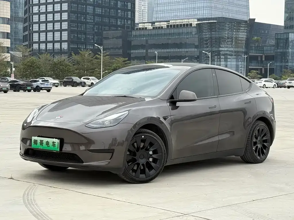 Tesla Model Y 2022 из CN, фото 1
