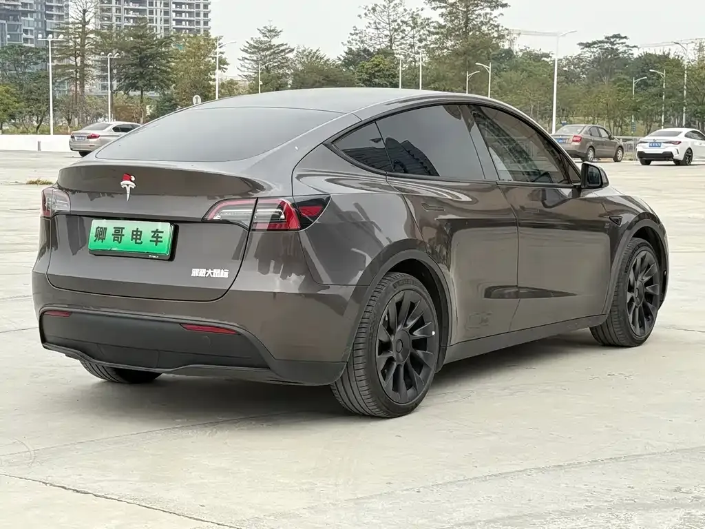Tesla Model Y 2022 из CN, фото 5