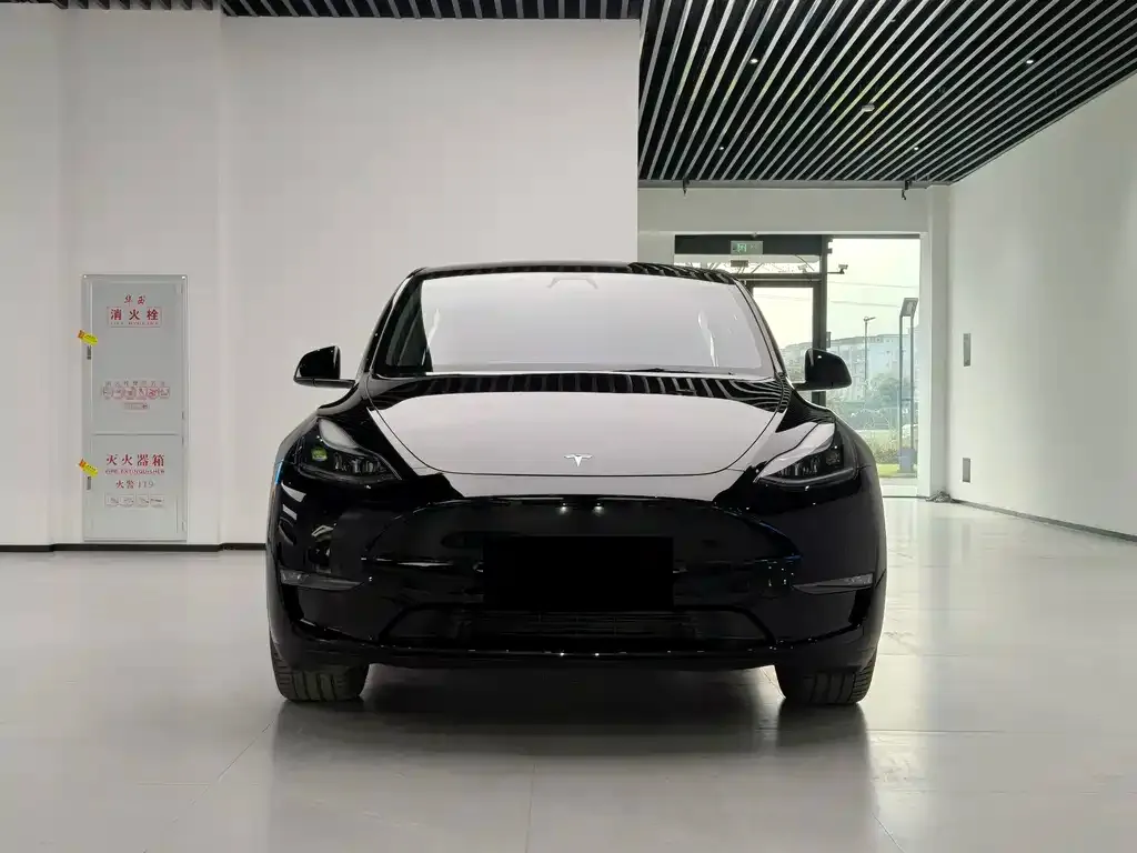 Tesla Model Y — фото 5