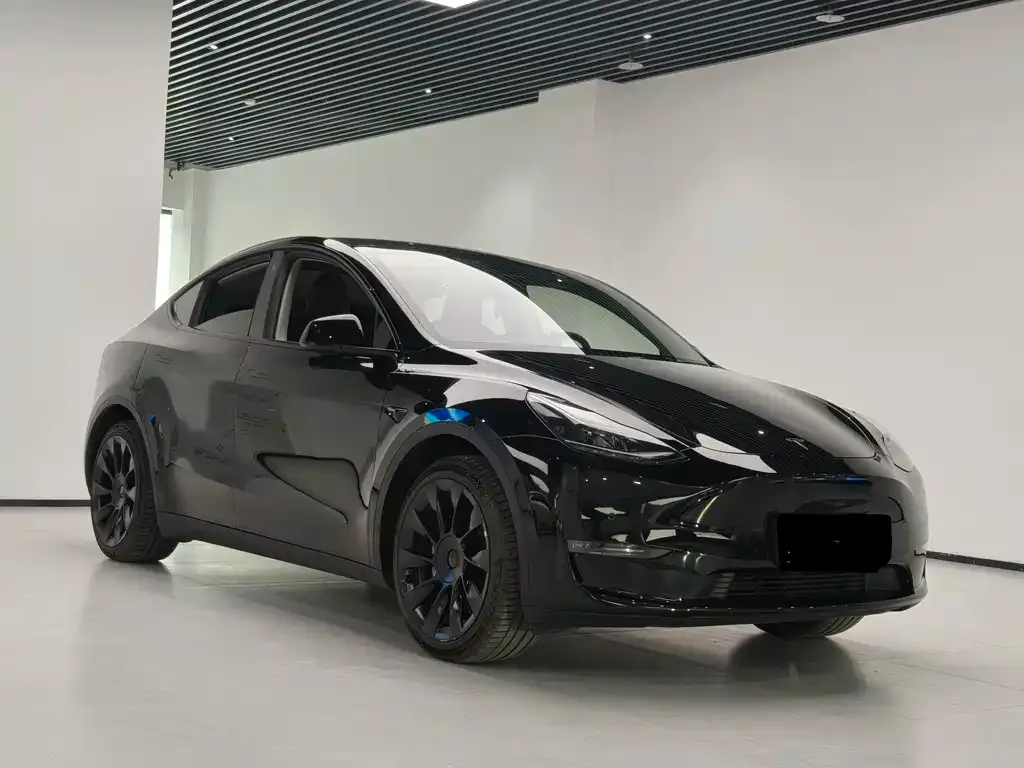 Tesla Model Y — фото 9