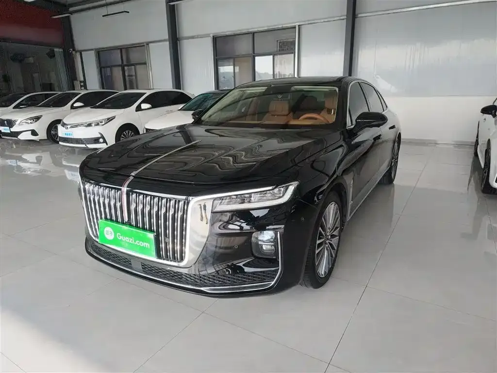Hongqi H9 2021 из CN, фото 10