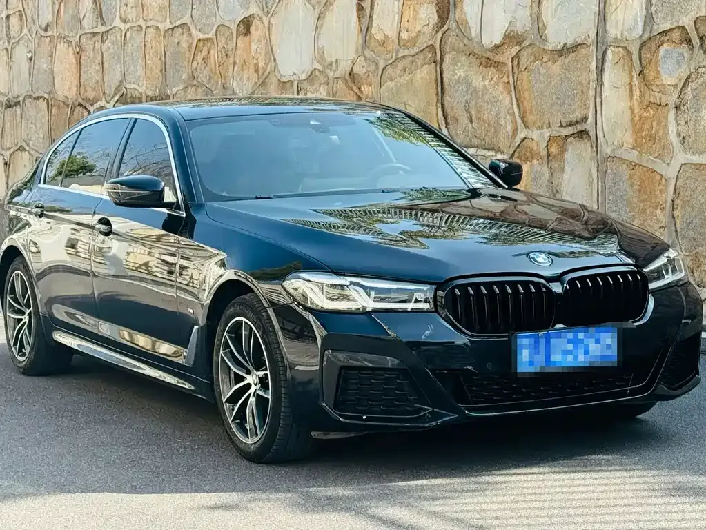 BMW 5 Series 2022 из CN, фото 6