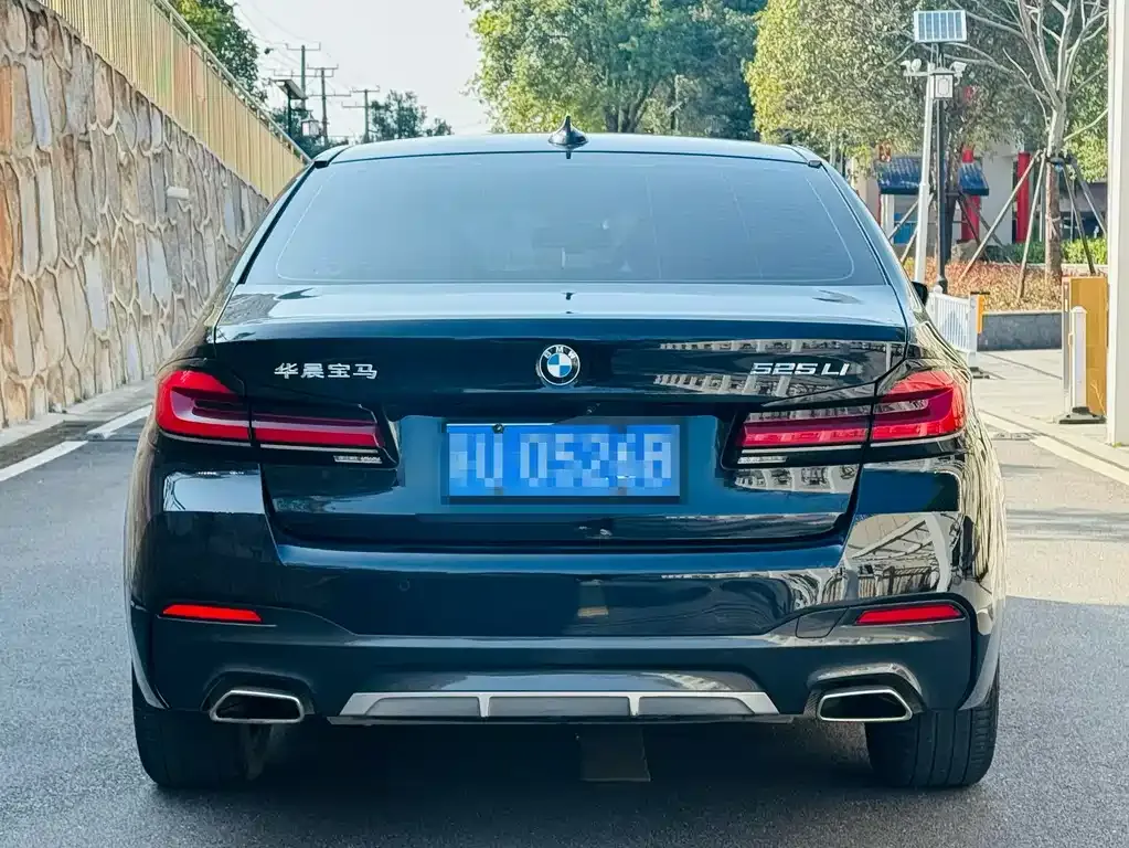 BMW 5 Series 2022 из CN, фото 8