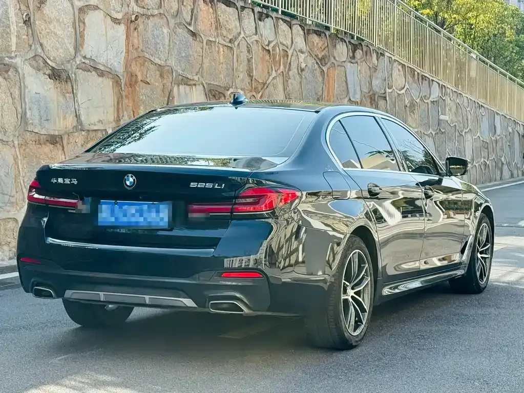 BMW 5 Series 2022 из CN, фото 10