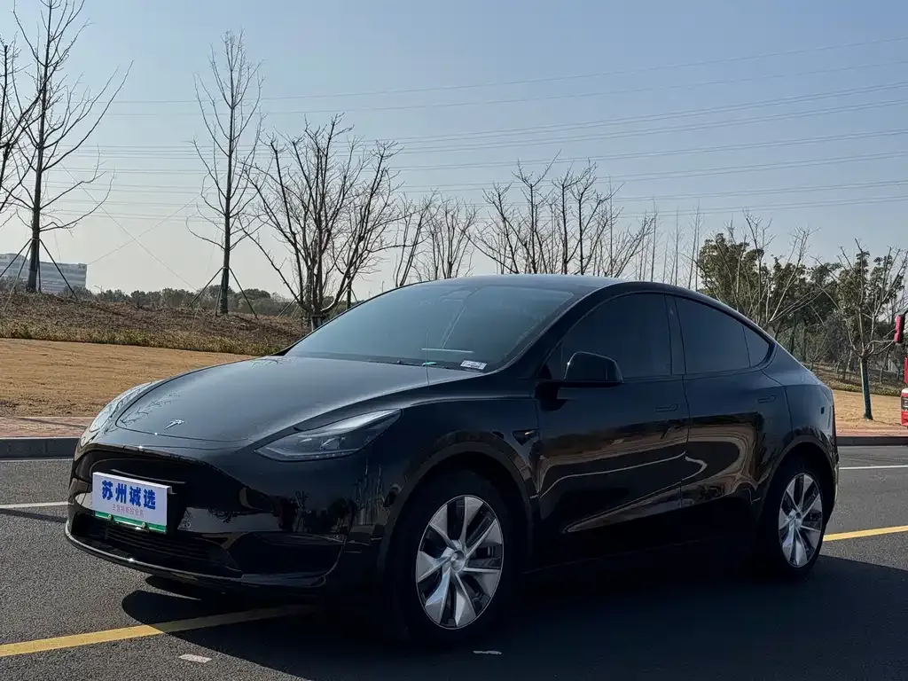 Tesla Model Y — фото 1