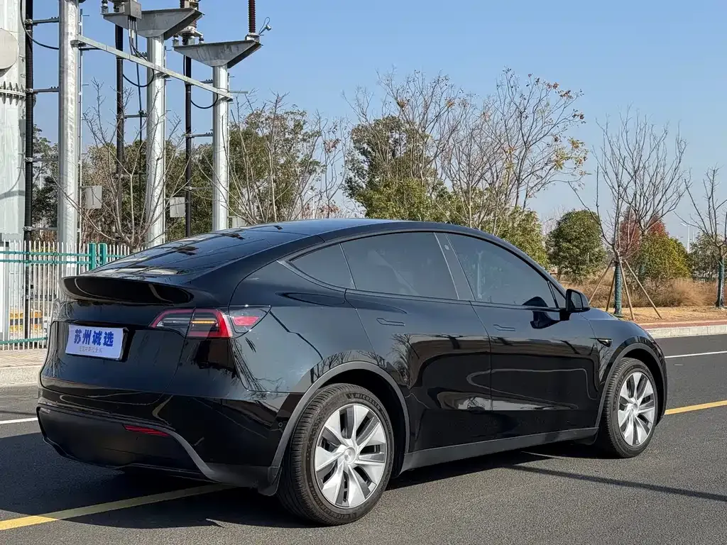 Tesla Model Y — фото 10