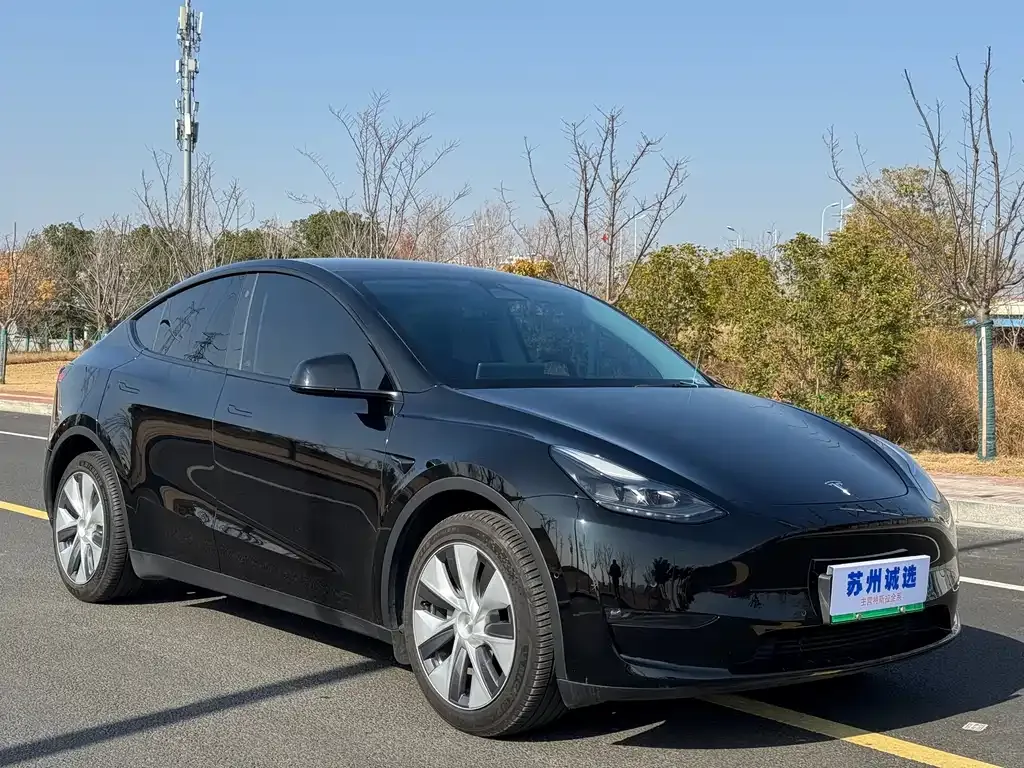 Tesla Model Y — фото 9