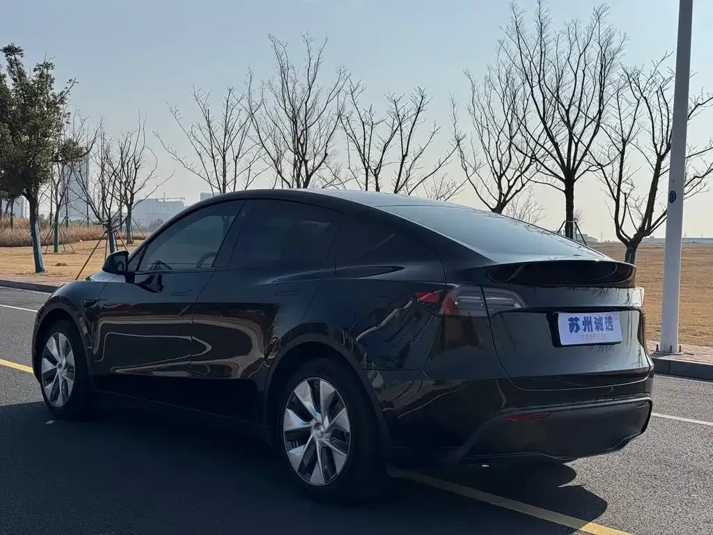 Tesla Model Y — фото 6