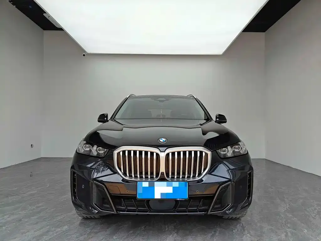 BMW X5 2024 из CN, фото 2