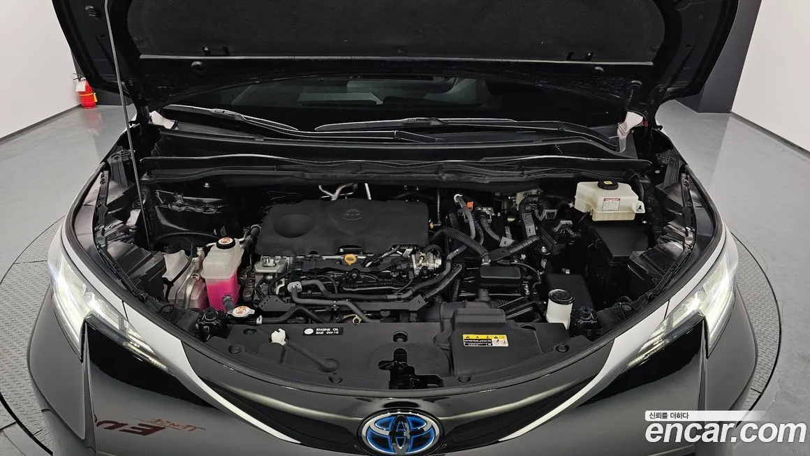 Toyota Sienna 2023 из KR, фото 2