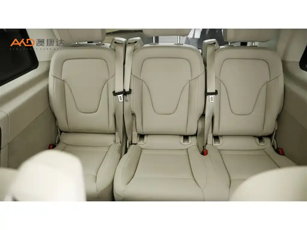 Mercedes-Benz V-Class 2022 из CN, фото 10