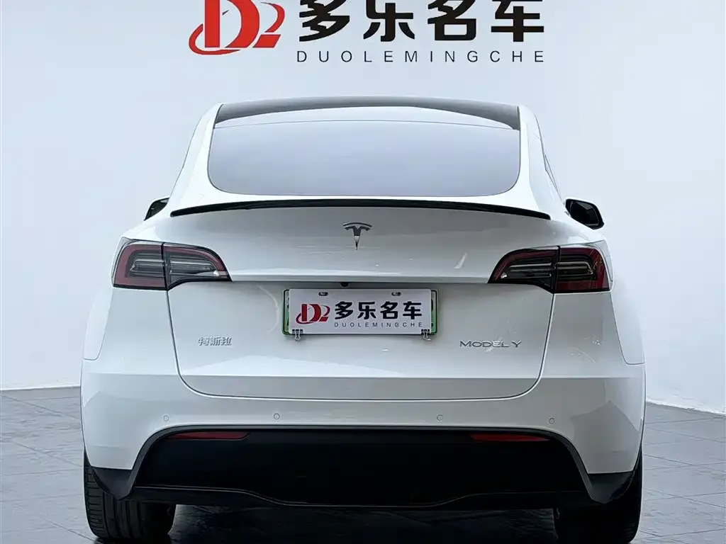 Tesla Model Y 2022 из CN, фото 2