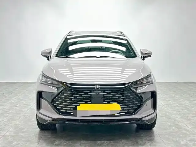 BYD Tang New Energy 2025 из CN, фото 4