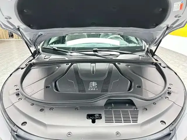 BYD Tang New Energy 2025 из CN, фото 8