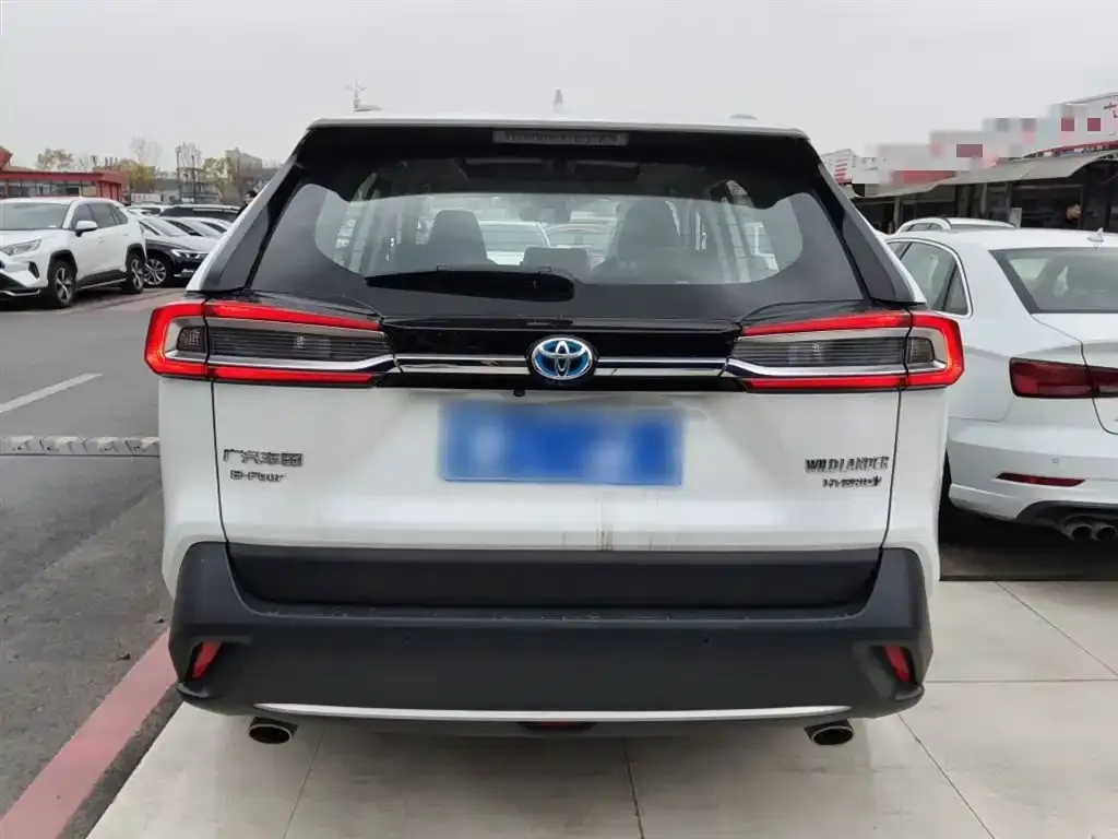 Toyota Wildlander 2023 из CN, фото 6