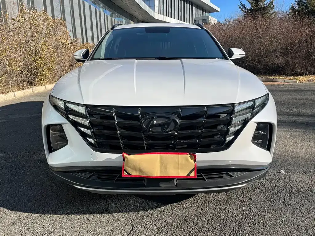 Hyundai Tucson 2022 из CN, фото 10
