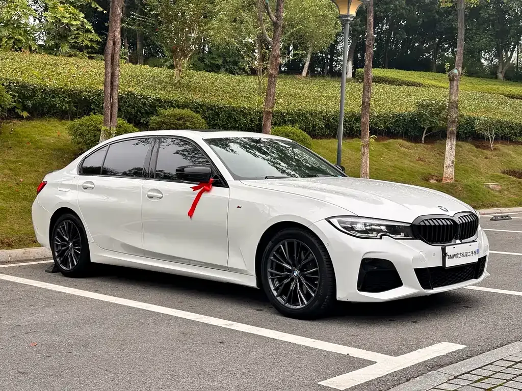BMW 3 Series 2021 из CN, фото 3