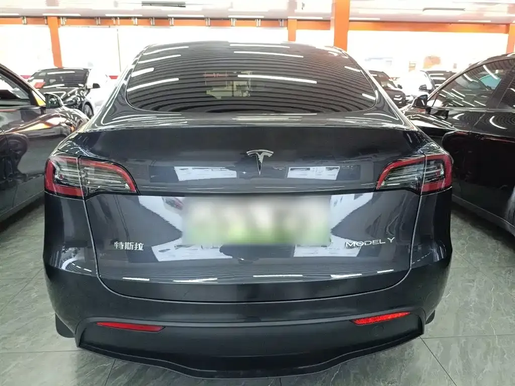 Tesla Model Y 2024 из CN, фото 5