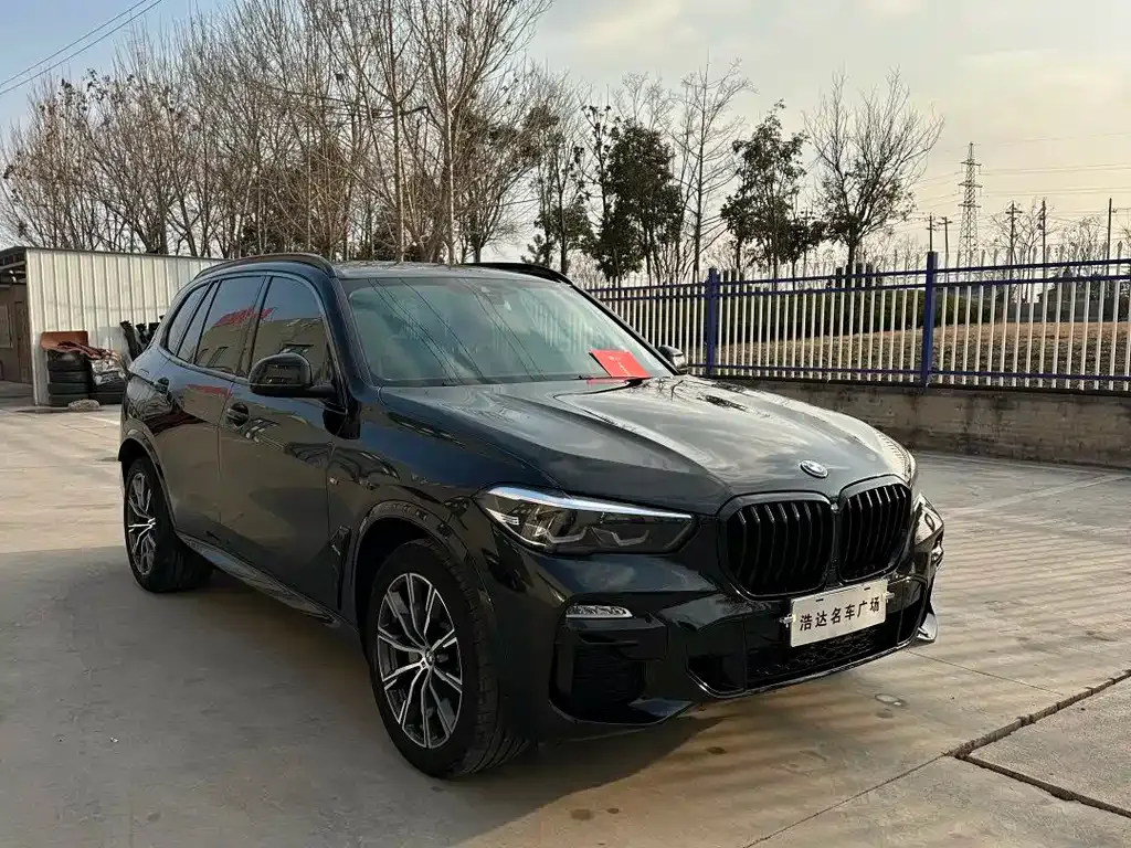 BMW X5 (Import) 2021 из CN, фото 8