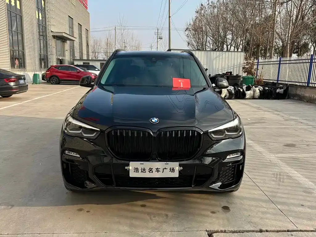 BMW X5 (Import) 2021 из CN, фото 3
