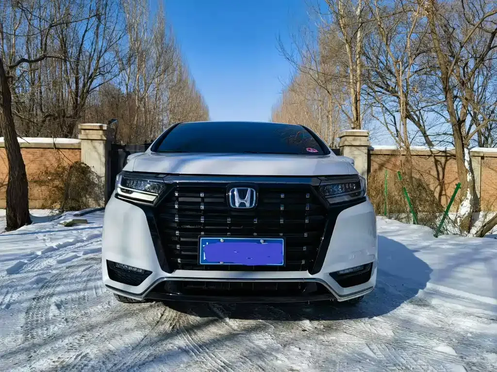 Honda Elysion 2023 из CN, фото 4