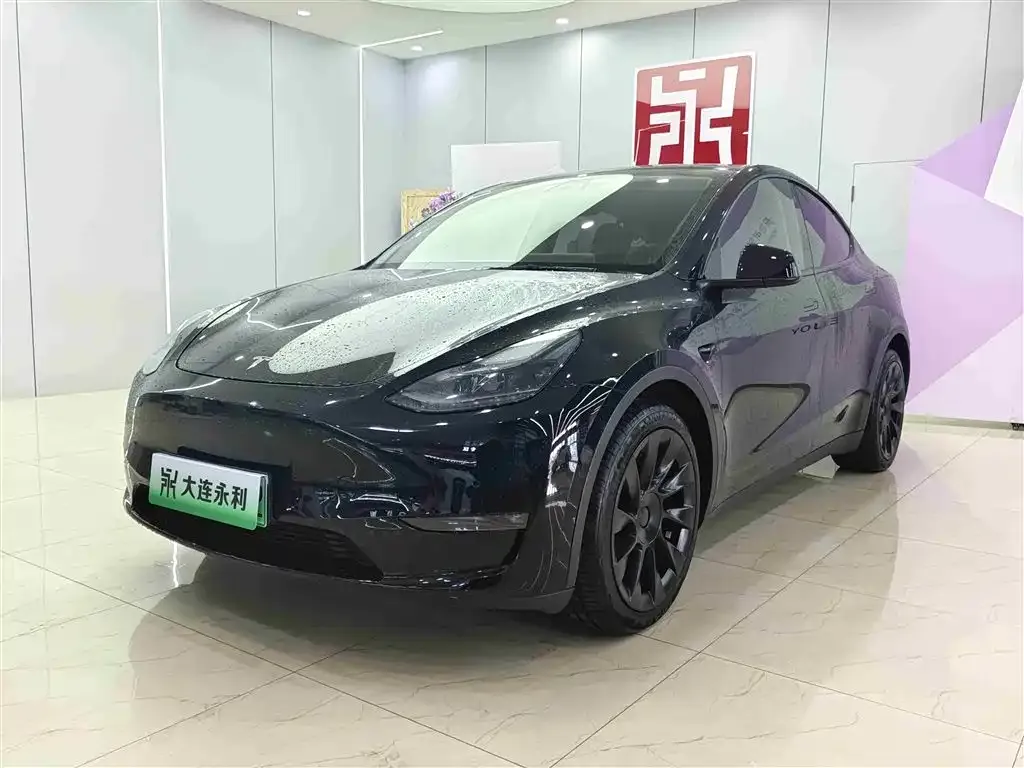 Tesla Model Y 2021 из CN, фото 1