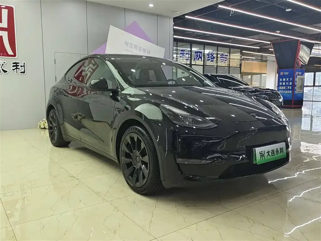 Tesla Model Y 2021 из CN, фото 4