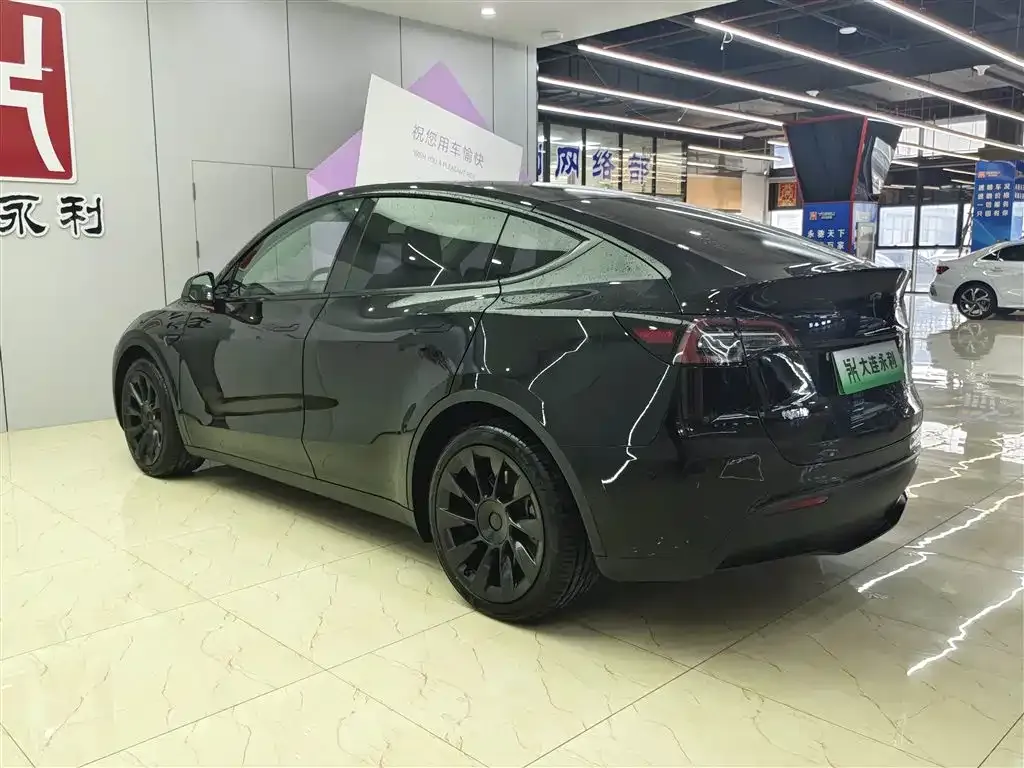 Tesla Model Y 2021 из CN, фото 3