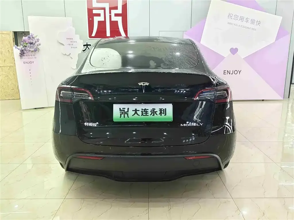 Tesla Model Y 2021 из CN, фото 8