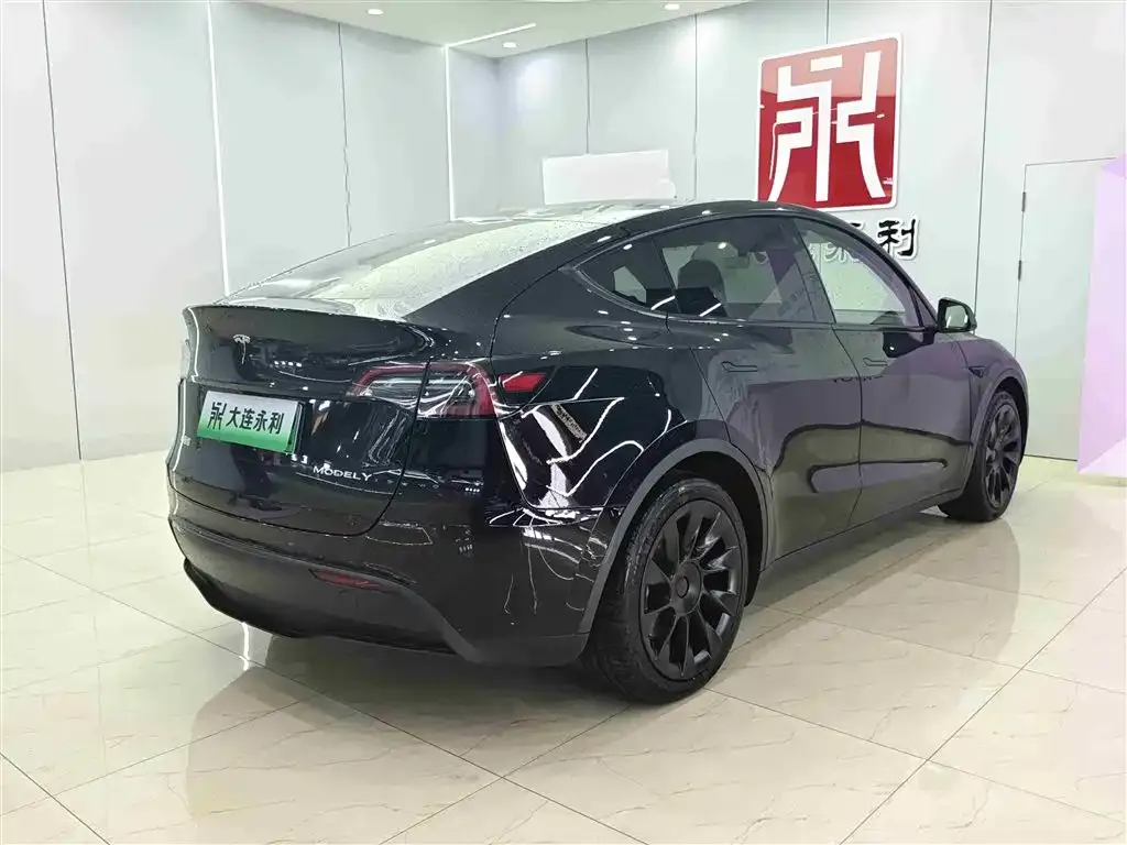 Tesla Model Y 2021 из CN, фото 6