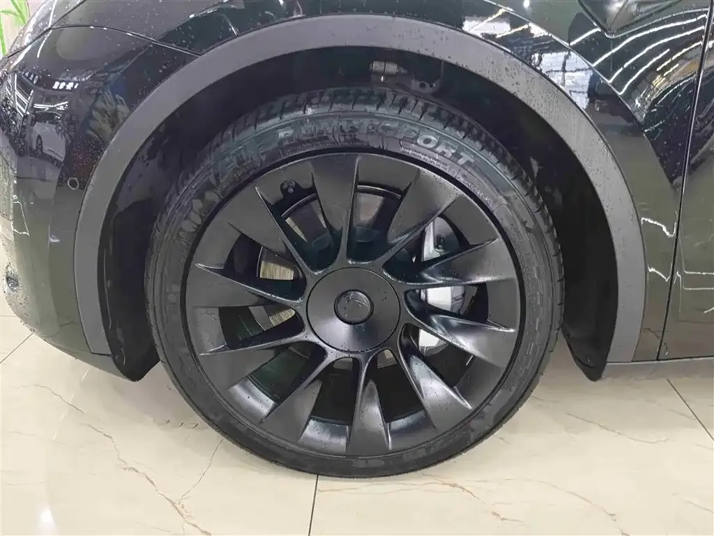 Tesla Model Y 2021 из CN, фото 5