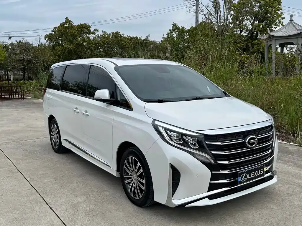 GAC Motor Trumpchi M8 2022 из CN, фото 2