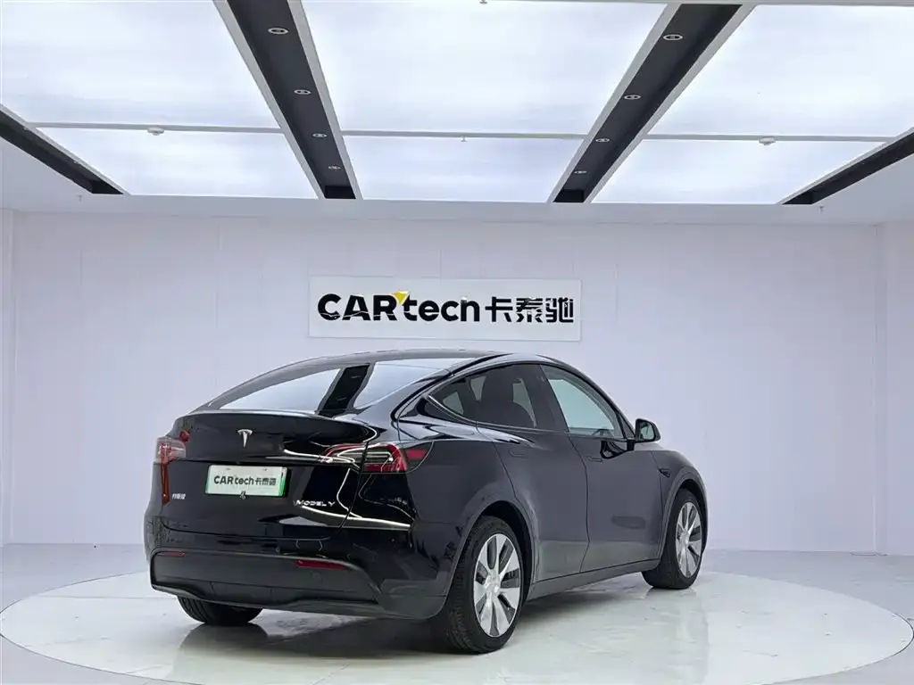 Tesla Model Y 2021 из CN, фото 9