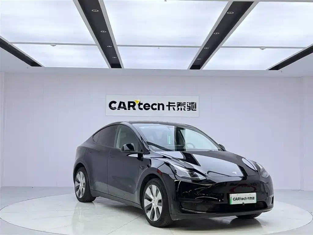 Tesla Model Y 2021 из CN, фото 6
