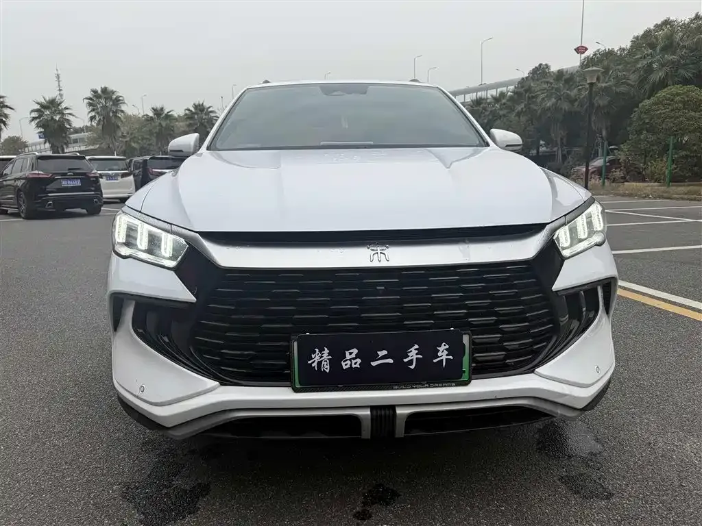 BYD Pro New Energy — фото 9