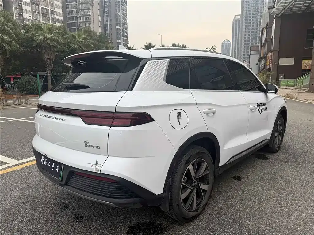 BYD Pro New Energy — фото 6