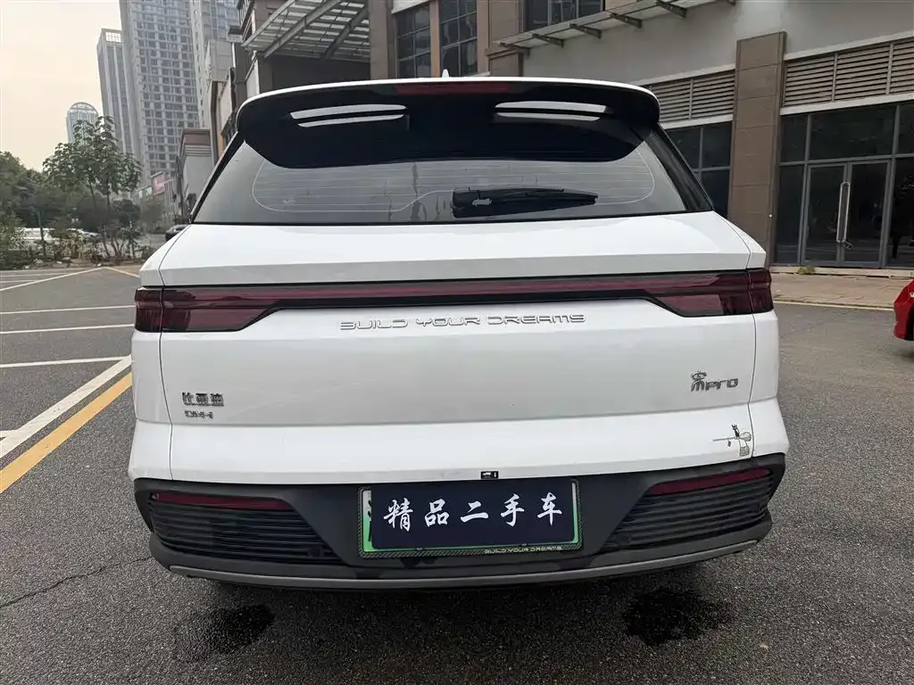 BYD Pro New Energy — фото 5