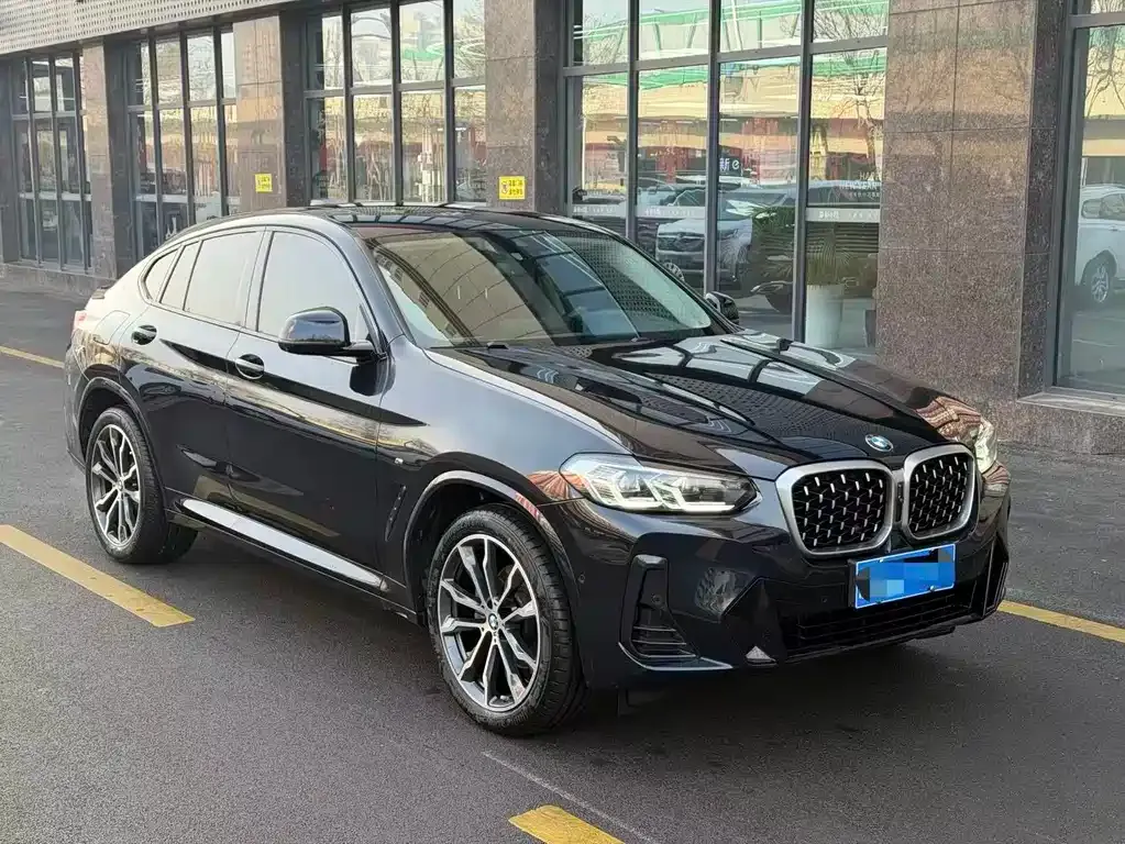 BMW X4 2023 из CN, фото 4