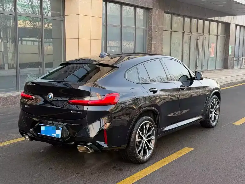 BMW X4 2023 из CN, фото 9