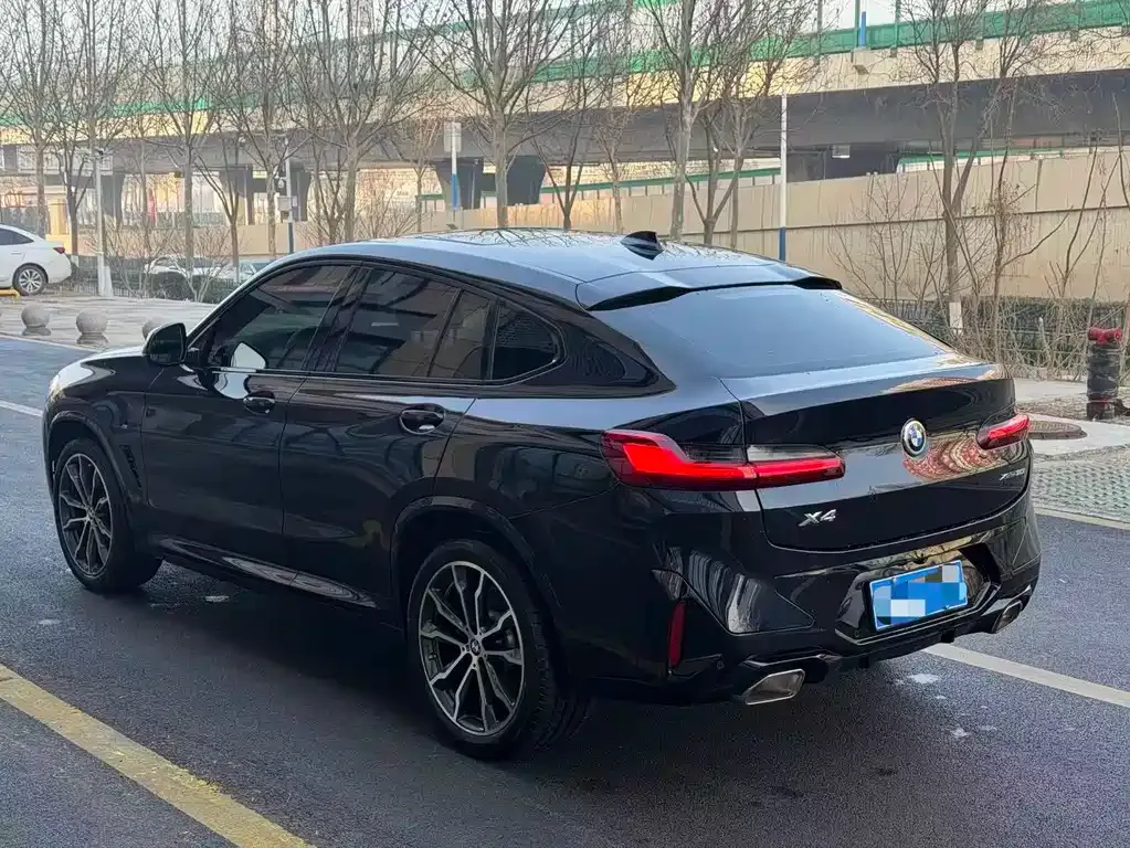 BMW X4 2023 из CN, фото 7