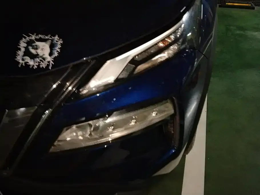 Nissan X-Trail 2022 из CN, фото 2